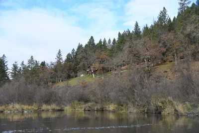 DSC_0219 (Large).JPG